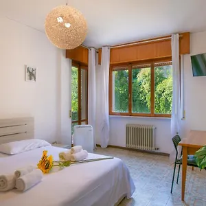 Olga's Verona